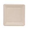 Yijie Biodegradable Square Fast Food Plate