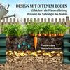 Sturdy Raised Bed with Stable Frame for Vegetables, Modern Planter Box, High-Quality Garden Bed (only with raised bed)