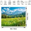 Spring Scenery, Green Grassland, Pine Trees, Forest Background, Photography, Camping, Adventure, Party Background, Banner