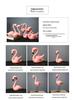 Nordic Pink Flamingo Heart Resin Ornament for Living Room or Bedroom Decor