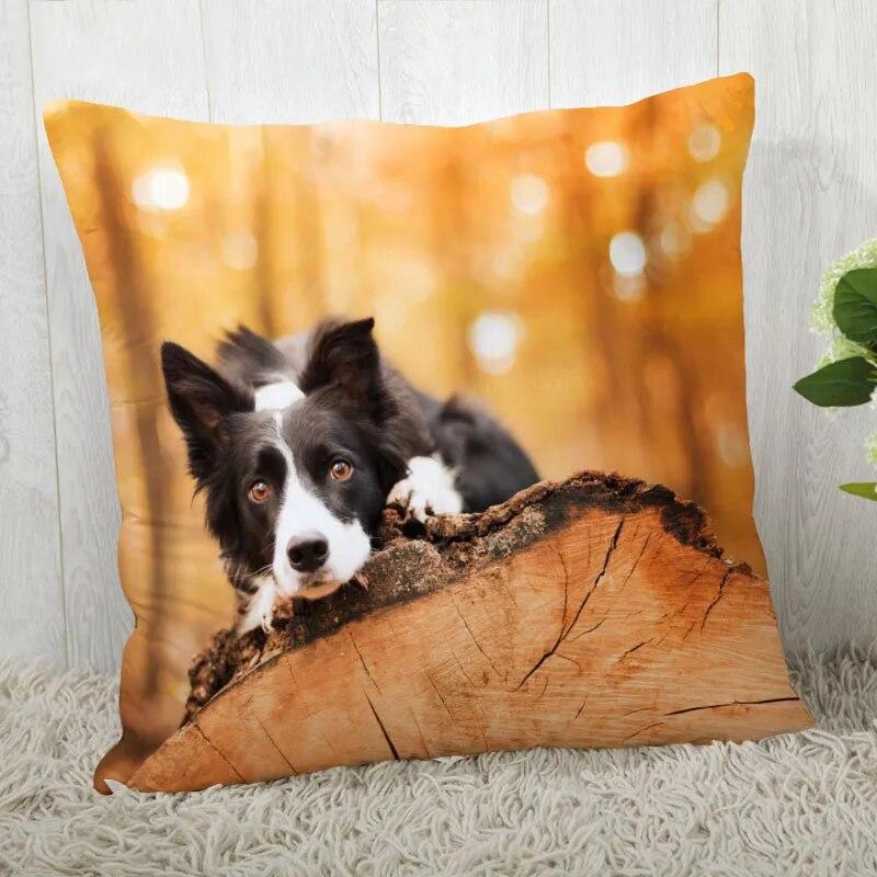 Pillowcase Border Collie  Modern Home Living Room Decor