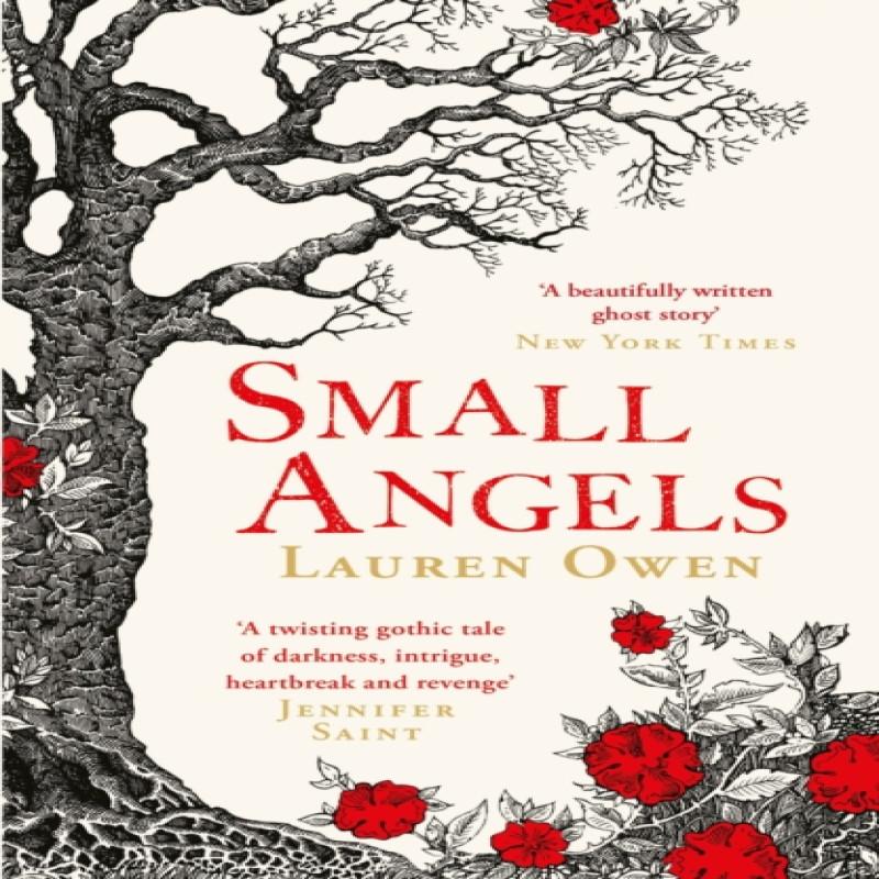 Small Angels by Lauren Owen Paperback Book 9781472280817