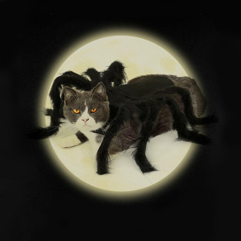 Kjæledyr Edderkoppkostyme Halloween Kjæledyr Edderkoppklær Hund Katt Skrekk Simulering Plysj Edderkopper Kle Seg Ut