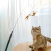 Cat Toys Interactive Handfree Cat Stick Playing Kitten Playing Teaser Wand Toy Suction Cup Bird/Feather Cat Wand Pet Supplies