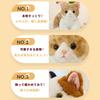 This and lifelike plush pillow features a brown tabby and calico black and white A perfect gift for or store This 50cm plush toy cushion features a