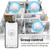 Tuya Doodle Smart WiFi Zigbee Plug with Alexa Voice Control