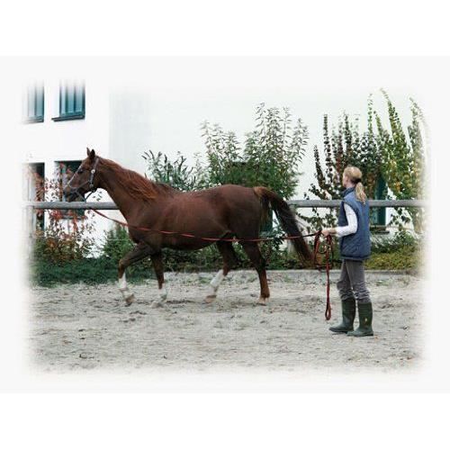 Longe De Travail - Kerbl Chevaux - Softlonge - 8 M - Noir/Rouge - Tissage Souple