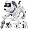 Programowalny Robot Zdalnego Sterowania Pies Zabawka Rc Pies Robot Prezenty