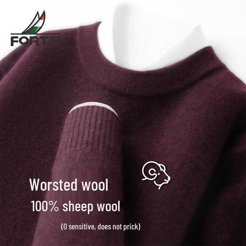 Men s 100% Merino Wool Round Neck Sweater 50