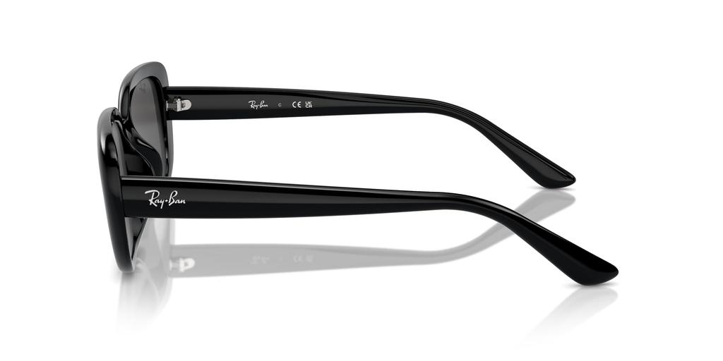 Sunglasses RB4421D 56 667787 Asian Fit [Ray-Ban]
