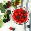 VORCOOL Food Sample Raspberry Simulation Fruit Blackberry Model Fake Real Look Fruit Food Model Photography Tools Pack of 40