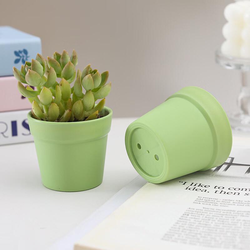 Succulent Plastic Root Control Pots