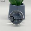 5cm  3D Crystal Ball Pikachu Eevee Mewtwo Carving Model LED Color Light Base Children's Gift Fans Toy Birthday Gift