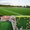 Lush Artificial Grass Carpet - Perfect for Indoor/Outdoor Decor, Balconies, Weddings, and Roofing, Indoor Outdoor Carpet, Artificial Grass Carpet