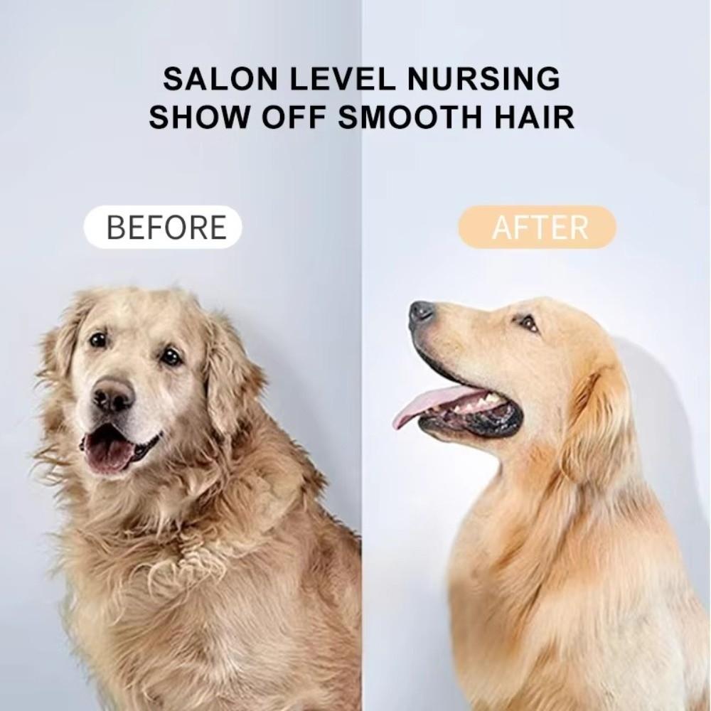 ABS Pet Grooming Dryer Massage Spray Brush Detachable Nozzle Dog Cat Hair Removal Comb 3-speed Adjustable Pet Hair Dryer