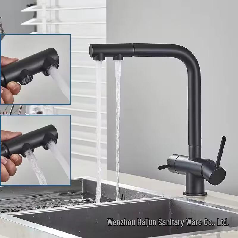 TLXT 3-in-1 Pull-Out Wall-Mounted Kitchen Faucet