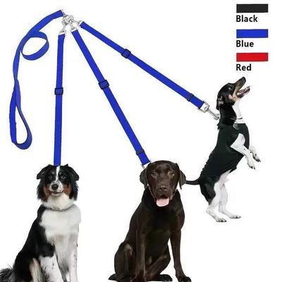 Perros – Collares y correas