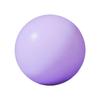 25cm 10Inch Pilates Ball Small Exercise Ball Mini Yoga Ball Gym Ball for Home Gym Pilates Yoga Balance Core Training