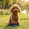4PCS/SET Thickened Pet Snow Boots Warm Dog Cotton Shoes Dog Footwear Winter Dog Snow Boots  Winter
