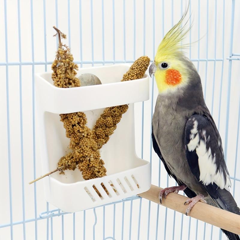 1PC Bird Fruit Vegetable Feeder Bowl, Parrot Feeding Holder Rack, Bird Feeders Pet Supplies