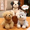 Wholesale 26cm Super Soft Saint Bernard Husky Teddy Dog Plush Toy Cute Animal Pillow Creative Home Decor Birthday Christmas Gift