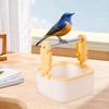 Desktop Bird Training Stand Portable Plastic Parrot Playing Stand for Budgies Parrots Cockatiels Bird Supplies Easy to Clean