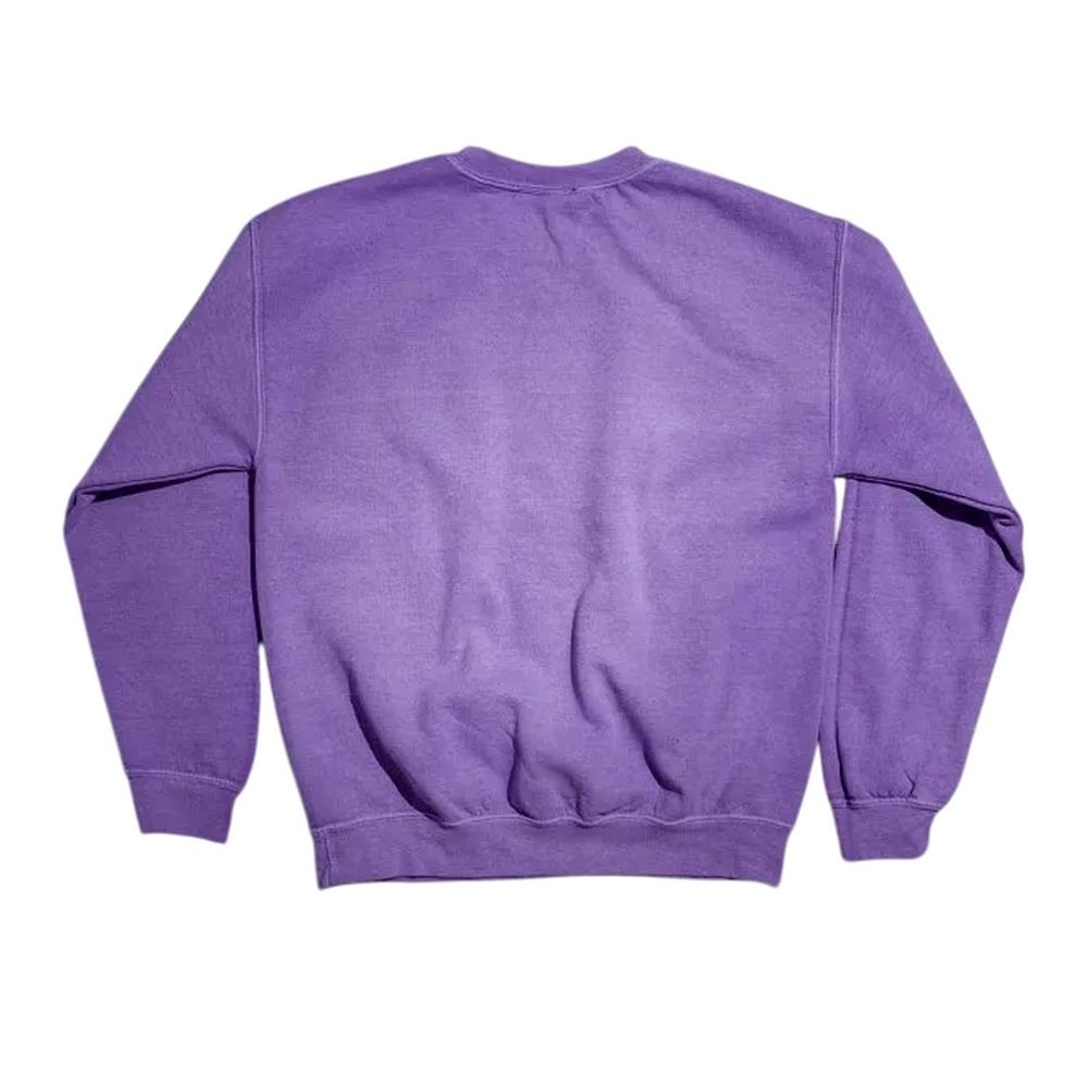 Care Bears Unisex Adult Spooky Pumpkin Vintage Wash Sweatshirt