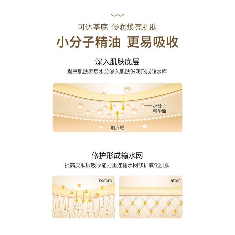 Roll On Hand Essence Oil Moisturizing Non Greasy Hand Care For Women