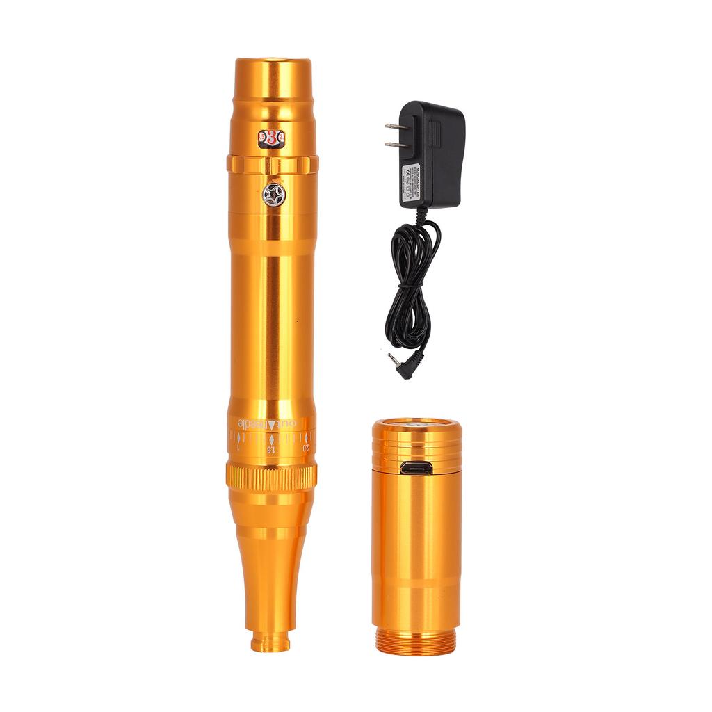 Professional Microblading Machine Rechargeable Plug In Dual Purpose Eyebrow Lip Tattoo Machine