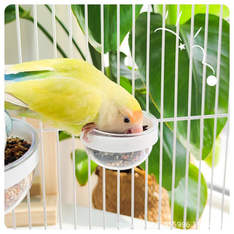 Miska na krmení ptáků Odnímatelná Průhledná miska Plastová Nádobka na jídlo Do klece Pohodlný Závěsný Krmítko na semena a vodu pro papoušky