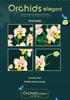 Golden Orchid Preserved Flower Bouquet Building Kit - Small Particle Assembly Display Toy for Girls.