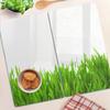 Set of Tempered Glass Kitchen Boards with Grass Pattern 2x30x52 cm