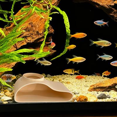 Einloch-Fischbeobachtungstunnel Aquarium Unterirdische Natürliche Kurve Höhle Aquarium Sicherer Kunststoff Aquariumdeko