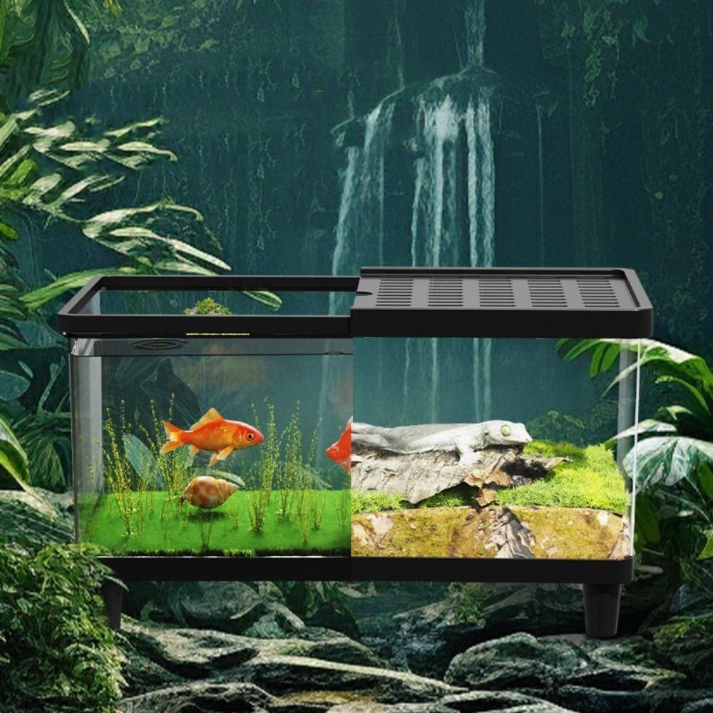 Transparent Lizard Breeding Box Breathable Insect Observation Box Reptile Terrarium  Amphibians