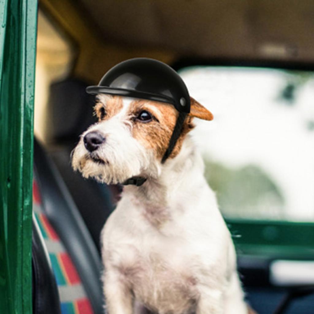 Casco per Animali Domestici per Gatto Sicurezza Cappellino da Equitazione Cane Mini Cappello per Sole Pioggia per Protezione Ra