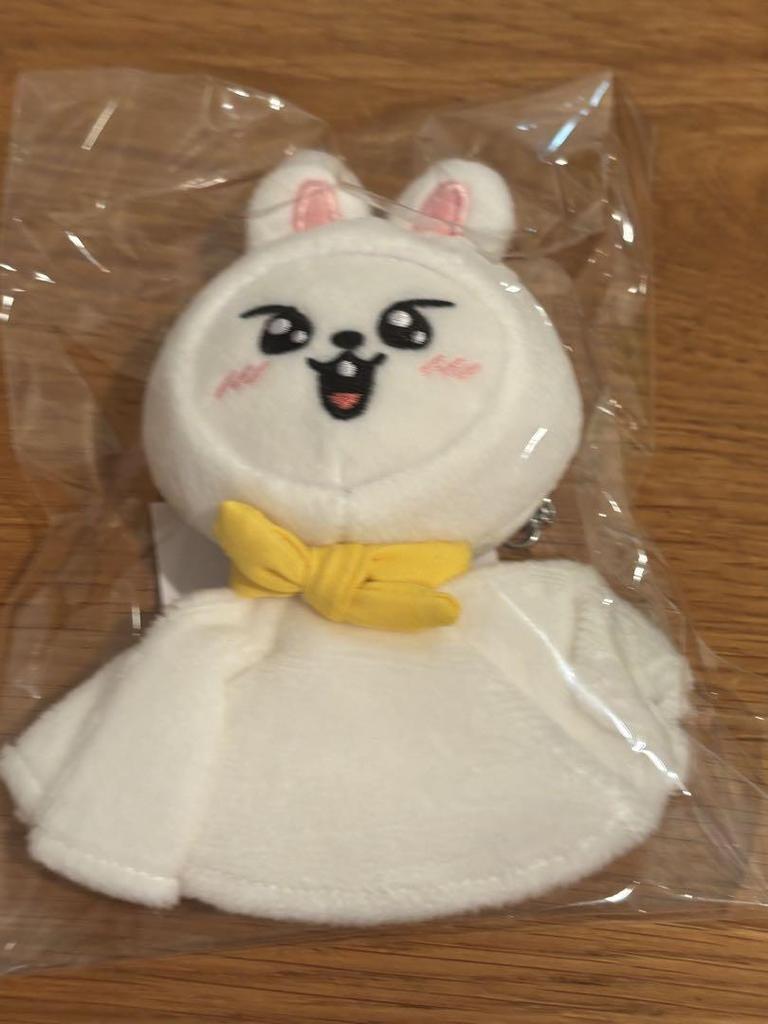 [USED] Straykids Teru Teru Bouzu Lino Leavitt Bag Charm ATE