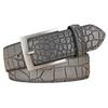 [White Fang] Pin Buckle Belt, Crocodile Design, Business, Formal, Simple, Men's BTA248 (Gray)
