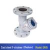WCB Cast Steel Y-Type Pipeline Strainer, DN100/150, GL41H-16C Flanged