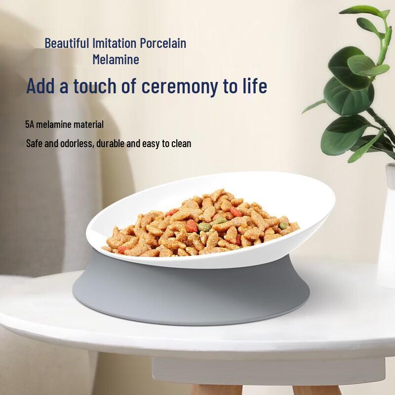 Ergonomic Tilted Cat Food Bowl