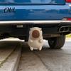 Anhängerkupplungskugelkappe 3D-gedruckte Capybara-Anhängerabdeckung, Dekorative Staub-Wohnmobil-Anhängerabdeckungskappe, 50mm Schutz, LKW-Zubehör Wetterfest