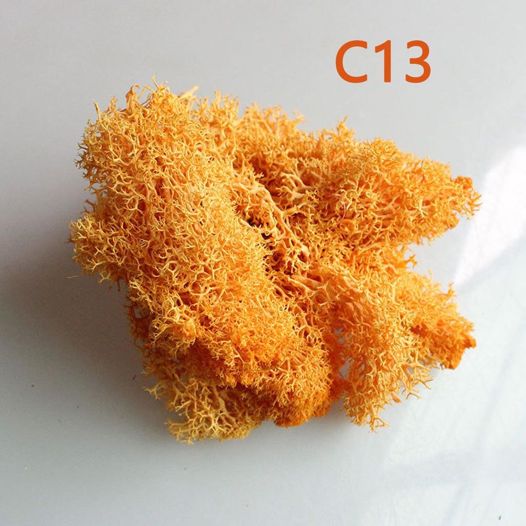Home Decor Decoration Flower Reindeer Moss Artificial Plant Micro Landscape Eternal Life Moss