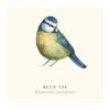 Tall Boy Prints Blue Tit Print