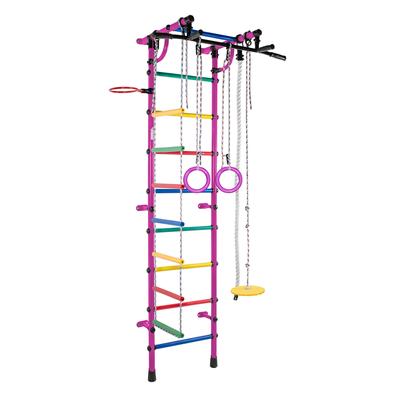 Gymnastic Ladder Gamma Plus Monkey Bars - Purple