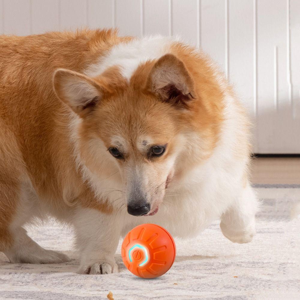 

Устойчивая к укусам собака автоматический катящийся мяч мягкий автоматический движущийся прыгающий мяч избавит от скуки оранжевый