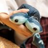 Cartoon Simulation Hammer Shark Doll Children Plush Toy Christmas Gift Sea Fish Shark Pillow Stuffed Toy