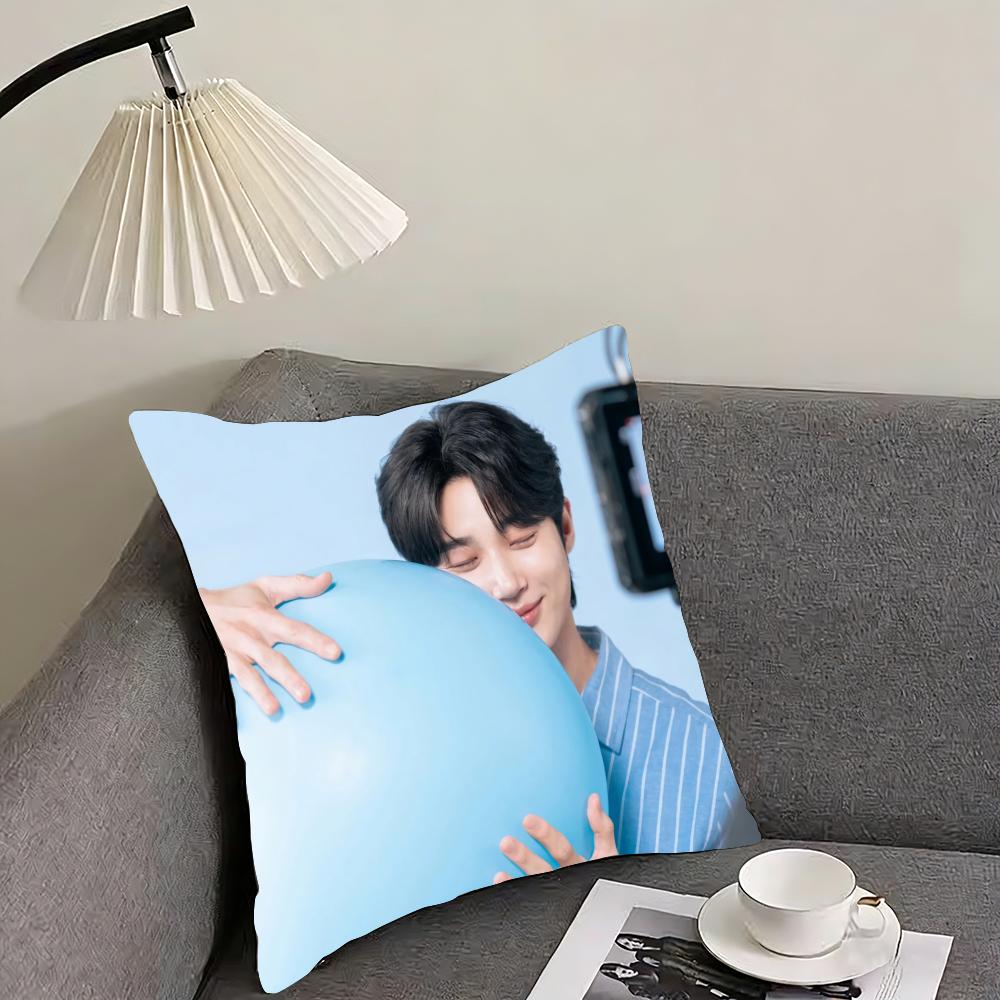 Byeon Woo-seok Cushion Cover Reversible Plush Pillow Cover – For car, sofa, bedroom, perfect as a gift.