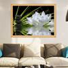 White Lotus 5D DIY Diamonds Mosaic Painting Partial Round Drill Rhinestones Paintings Crystal Creative Handmade Wall Decoration