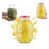 6X GLAS 3L EINMACHGLÄSER LIKÖRE + DECKEL fi100