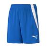 Puma Kids Teamliga Shorts Junior (70493102) Shorts