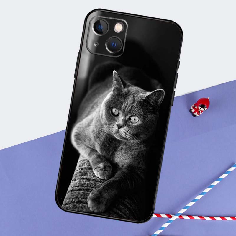 Beautiful Grey British Shorthair Cat Phone Case For iPhone 16 Pro Max 11 13 14 15 Pro Max 12 Mini XR 16 15 Plus 16e Back Cover